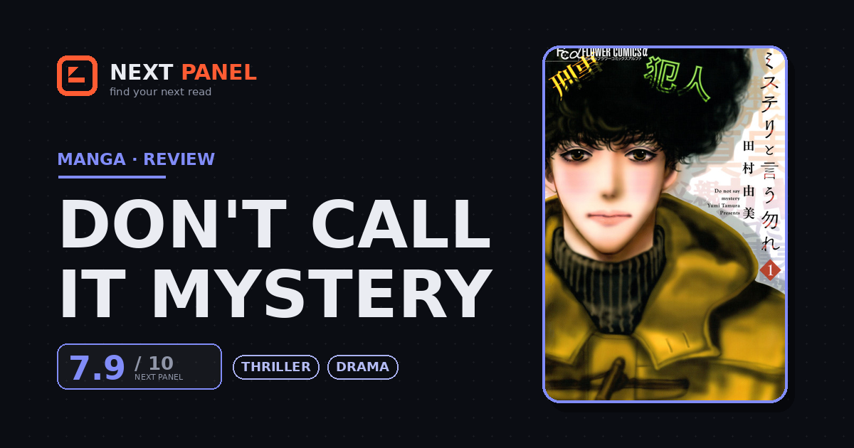 Don't Call It Mystery cover - Next Panel review