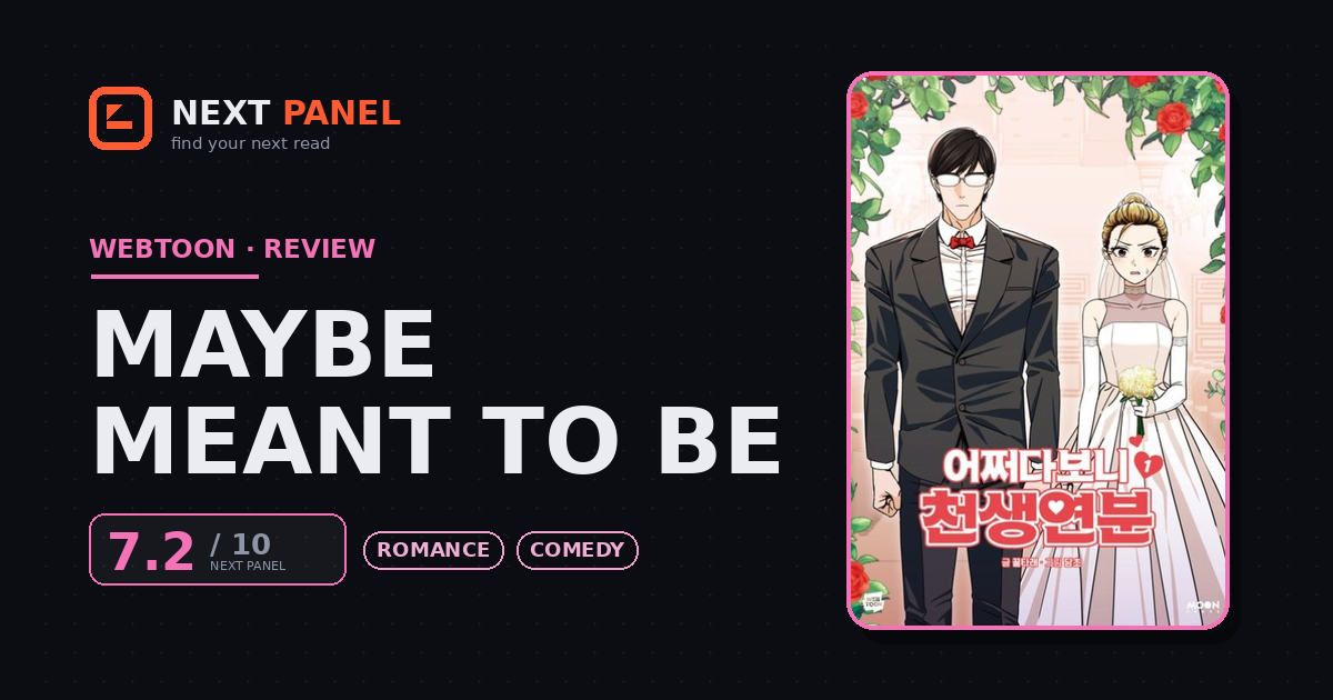 Maybe Meant to Be cover - Next Panel review