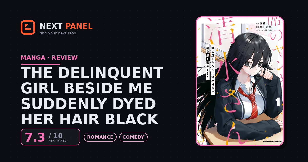 The Delinquent Girl Beside Me Suddenly Dyed Her Hair Black cover - Next Panel review
