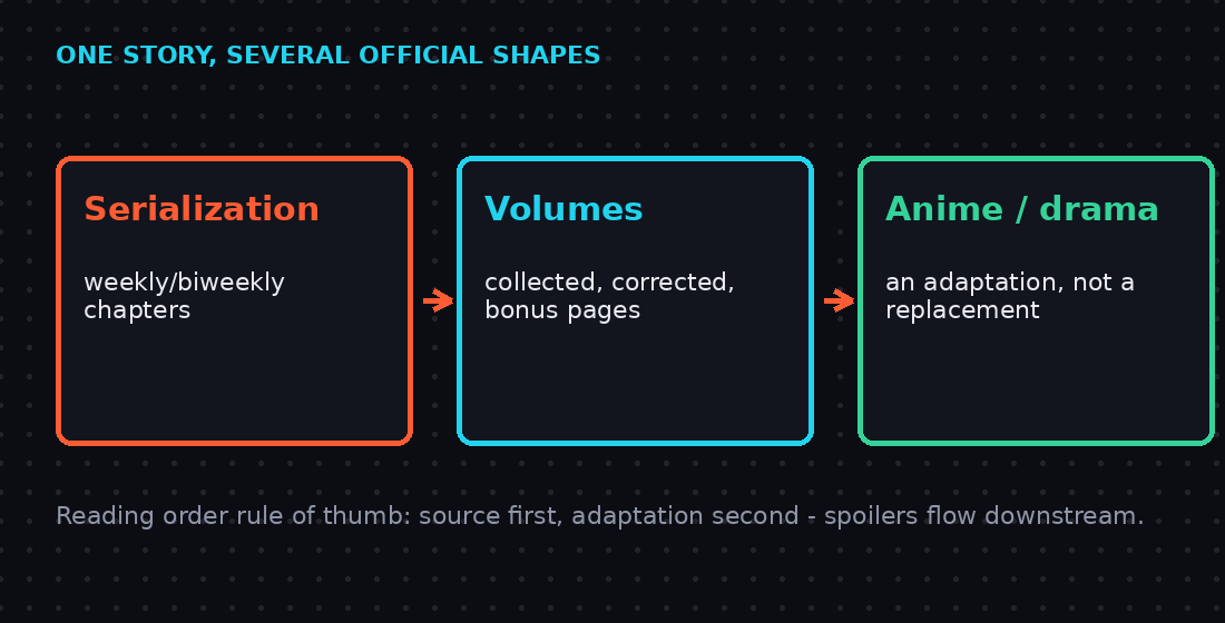 Diagram showing one story's official shapes: serialization chapters, collected volumes, anime adaptation
